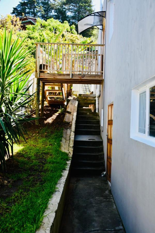 Friendz Guesthouse Knysna Extérieur photo